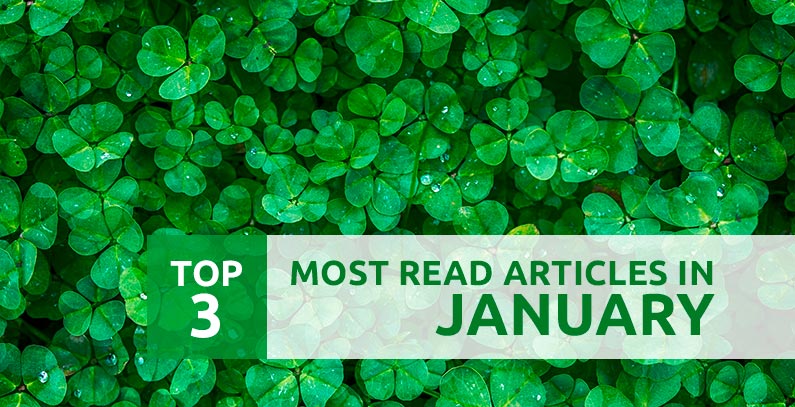 Most read in January: Blue Heart of Europe, Trebinje Energy Summit, green energy targets