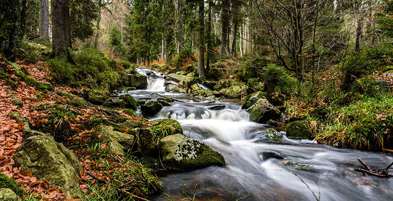 Activists in Montenegro say small hydropower plants’ study is illegal