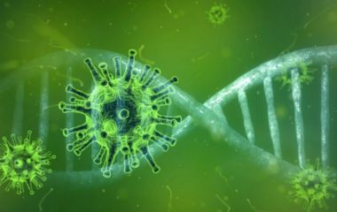 biodiversity loss coronavirus