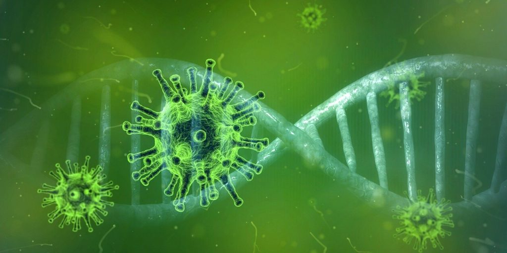 How biodiversity loss is hurting our ability to combat pandemics