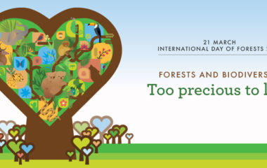 international-day-of-forests-2020