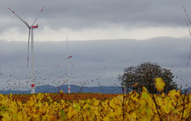 HROTE, CROPEX making auctions of guarantees of origin more frequent