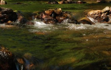 IHA call sustainable hydropower projects