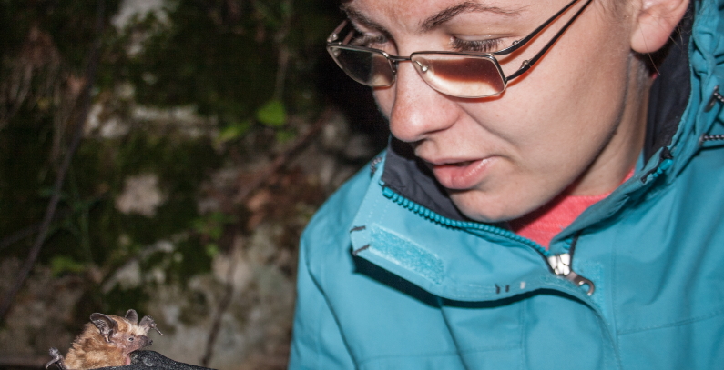 Bats are remarkably useful for humans and nature – don’t hurt them!