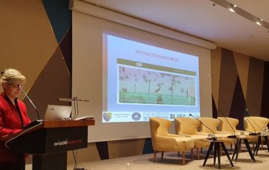 BIH ecosystem services assessment