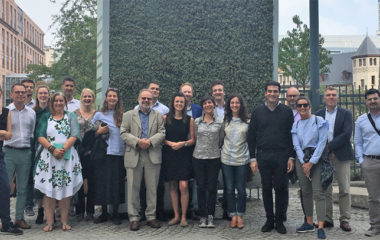 Deadline-extended-to-apply-Climate-KIC-Pioneers-into-Practice-Ulle-Napa-City-Tree