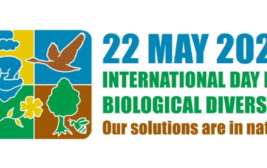 nature's health biodiversity day