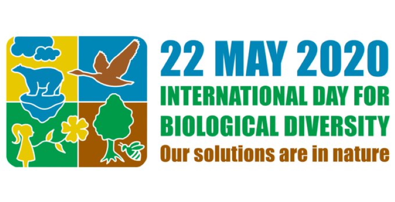 Our health depends on nature’s health – on May 22 world marks its biodiversity day