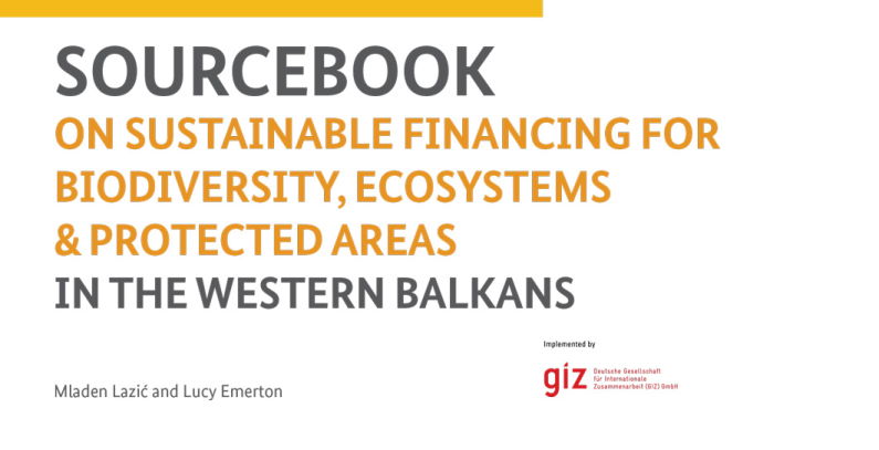 Rethinking financial sustainability for biodiversity