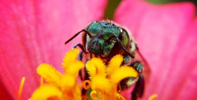 World Environment Day 2020: Here’s what we can do for nature