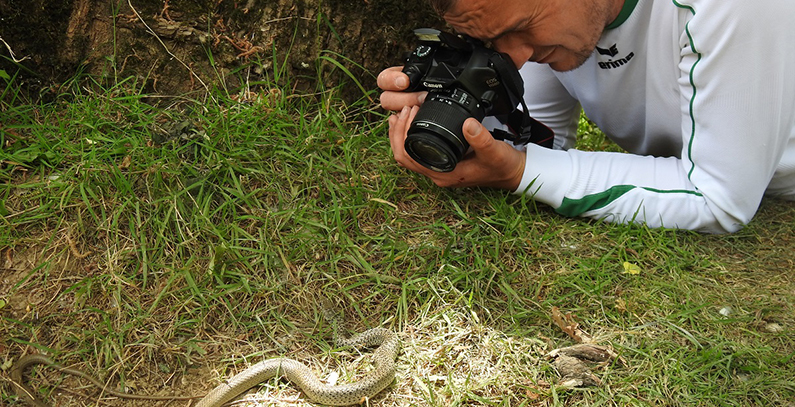 Flora, fauna research underway in basins of four Neretva tributaries