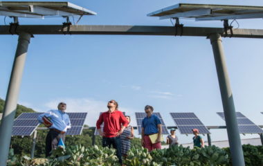 Greek families solar power plants 100 MW