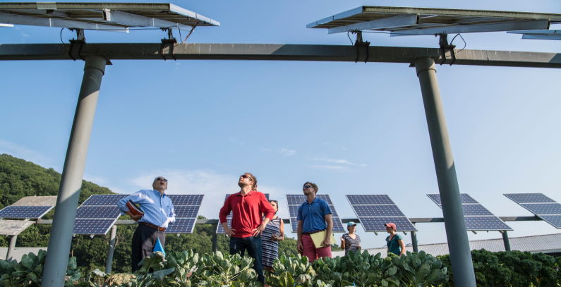 Hundreds of Greek families jointly building solar power plants of 100 MW