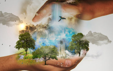 World Overshoot Day 2020