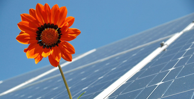 Croatia announces public call for renewable energy premiums