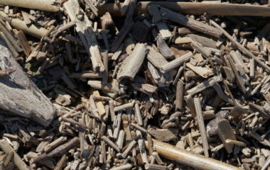 PPC Renewables 25 MW biomass power plant lignite