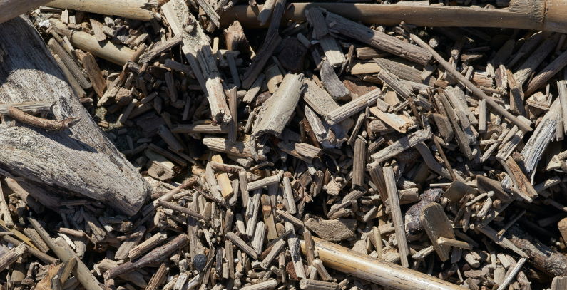 PPC Renewables to make 31 MW biomass power plant in lignite land