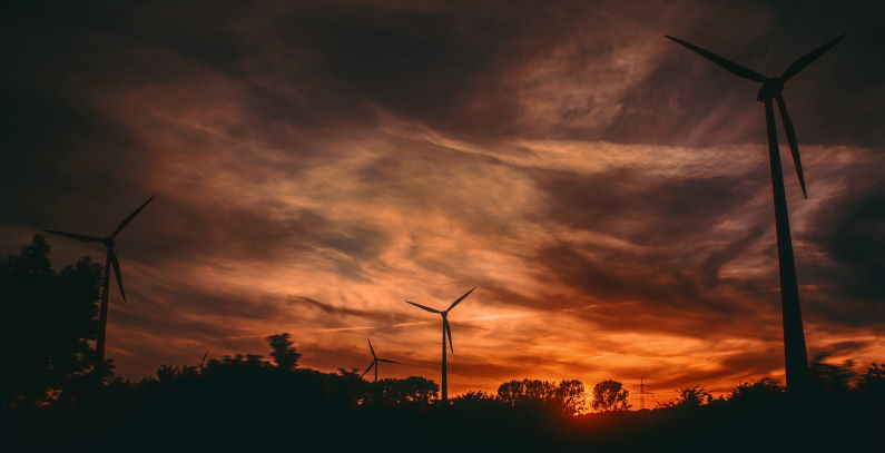Ex-head of Serbia’s transmission firm EMS enters wind power business