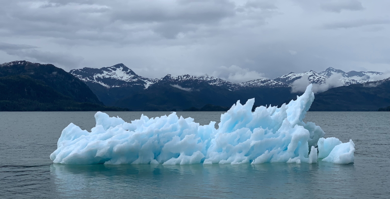 Ten lessons pandemic crisis combating climate change