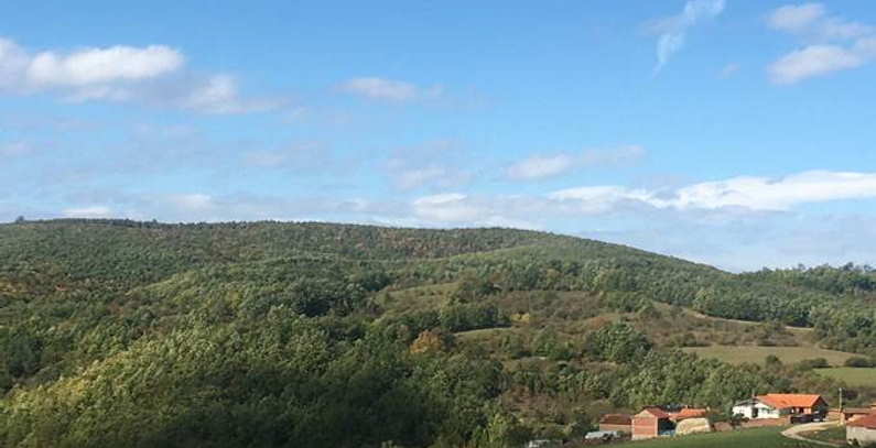 FAO programme to use drones to protect forests on Kosovo