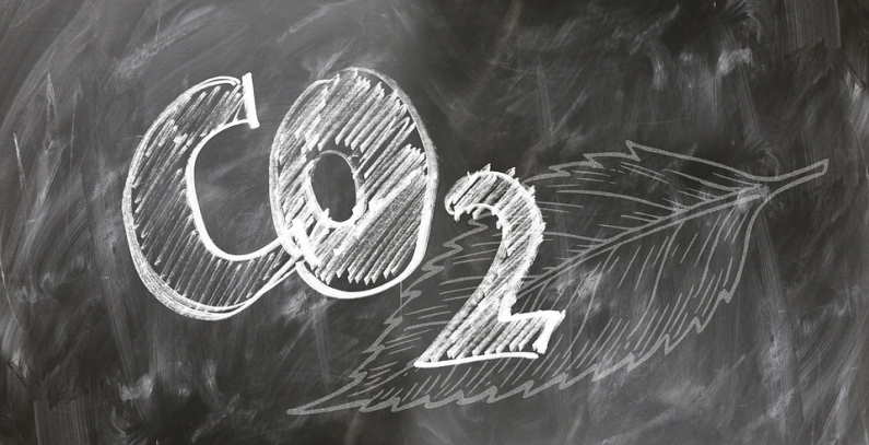 National emission trading schemes CO2 tax Energy Community
