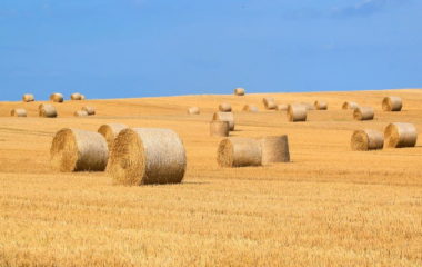 EU okays Romania's EUR 150 million renewables district heating