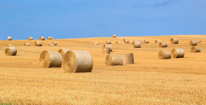 EU okays Romania's EUR 150 million renewables district heating