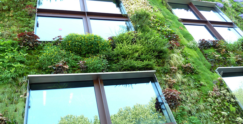 EUKI-5th-call-climate-protection-financing