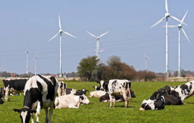 IEL OIE Balkan Renewable Energy Akuo Basaid geothermal