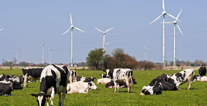 IEL OIE Balkan Renewable Energy Akuo Basaid geothermal