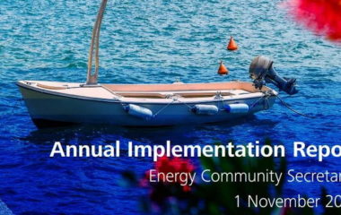 energy community annual report 2020