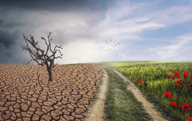 professors serbia message decarbonization coal