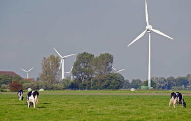 serbia ems quarantees of origin trade eu