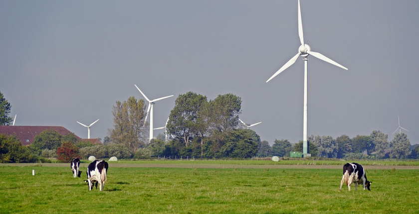 serbia ems quarantees of origin trade eu