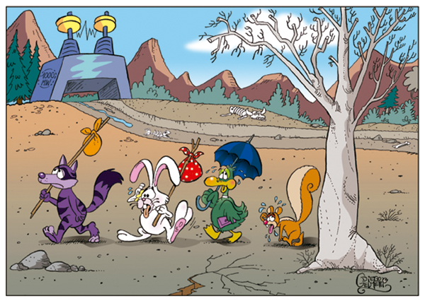 DIPLOMA Diego Gelmetti ARGENTINA