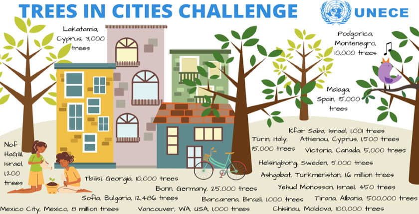 Οι δεσμεύσεις στο Trees in Cities Challenge φτάνουν τα 8,56 εκατομμύρια