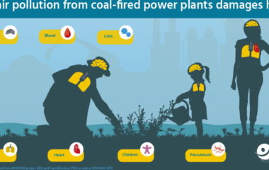 Coal pollution Turkey annual health costs EUR 10 9 billion