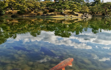 Japan-clean-nature-epson-web