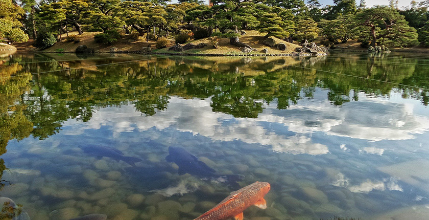 Japan-clean-nature-epson-web