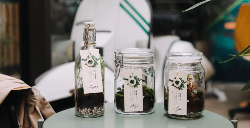 Pointless films sun never again pointless garden