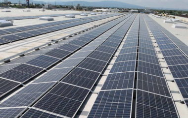 Romanian retail chain Dedeman stores solar panels