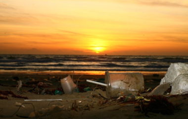 world s biggest single use plastics producers investors