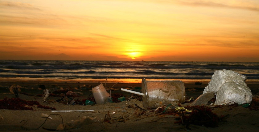 world s biggest single use plastics producers investors