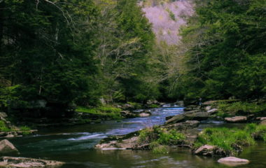 North Macedonia revoke concessions small hydropower