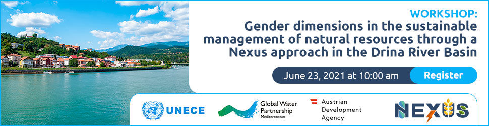 Gender workshop - UNECE–Global Water Partnership ADA June 23, 2021
