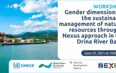 UNECE Global Water Partnership Austrian Development Agency gender workshop June 23, 2021