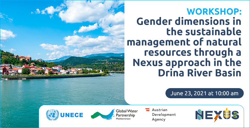 UNECE Global Water Partnership Austrian Development Agency gender workshop June 23, 2021