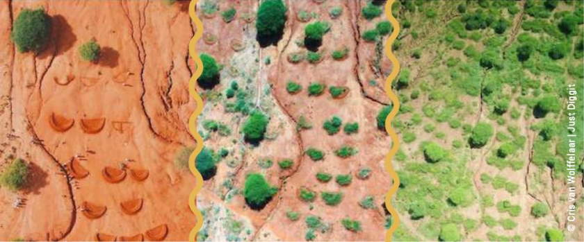 world environment day 2021 generation restoration playbook