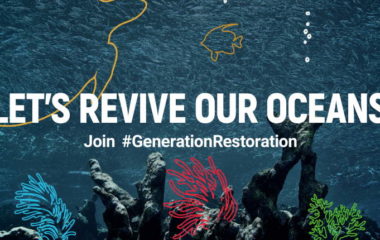 world environment day 2021 generation restoration revive oceans