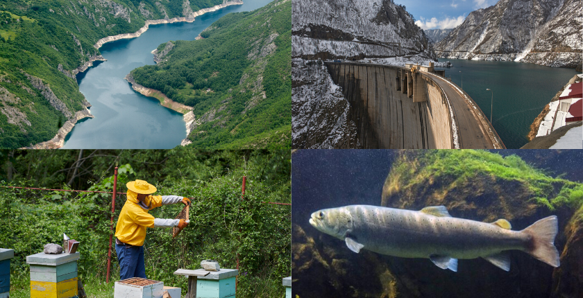 UNECE NEXUS solutions Drina river basin